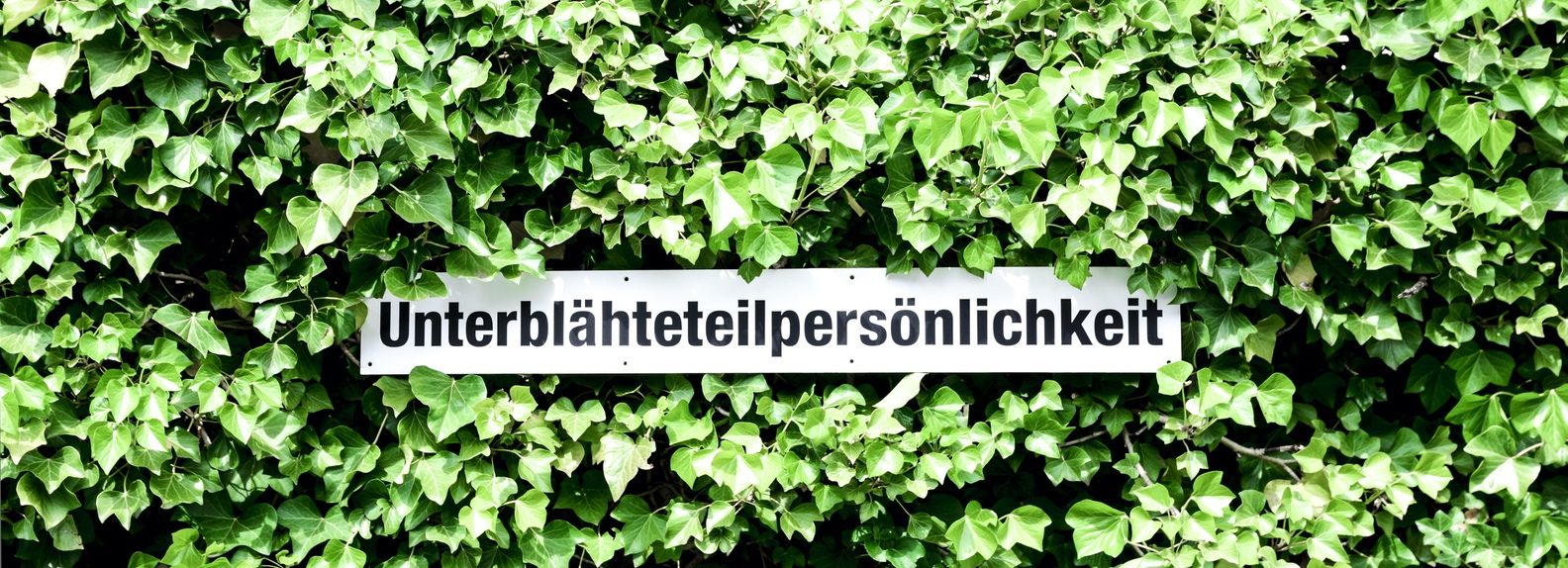 birgit_baum_coaching_stimme_25